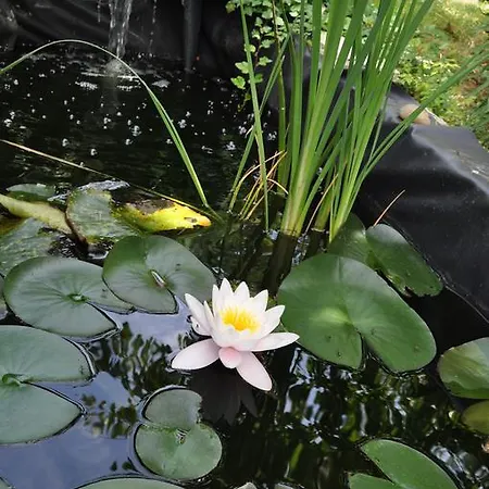 Maison Eureka Chantilly Prázdninový dům Gouvieux